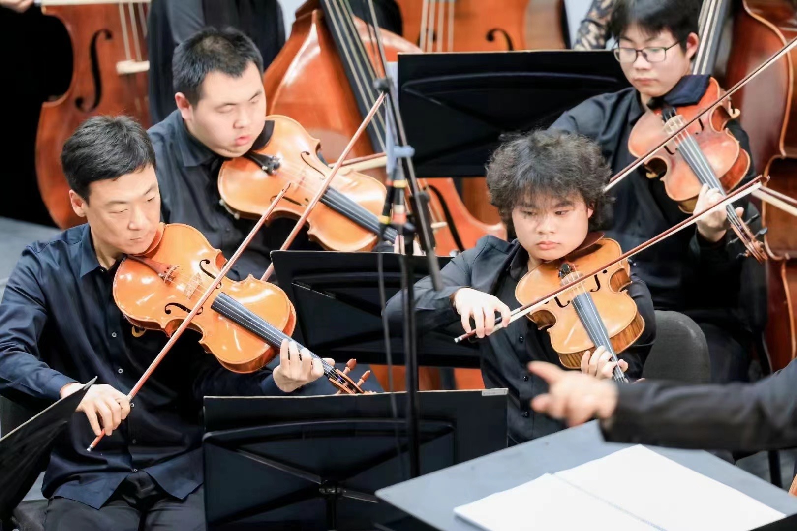 Viola players performing together in an orchestra.